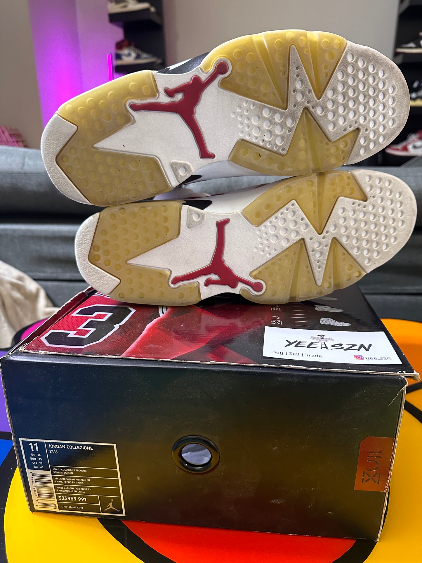 Jordan 6 Retro Carmine CDP (2008)